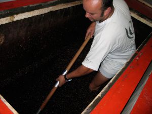 travail-vin-02